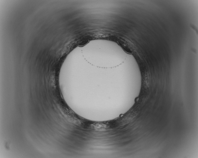 X0000100410512200806271446