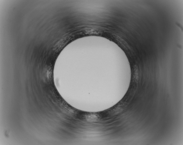 X0000100410513200806271446