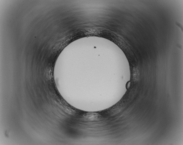 X0000100410514200806271446