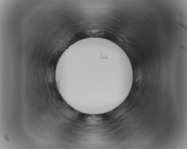 X0000100410515200806271446