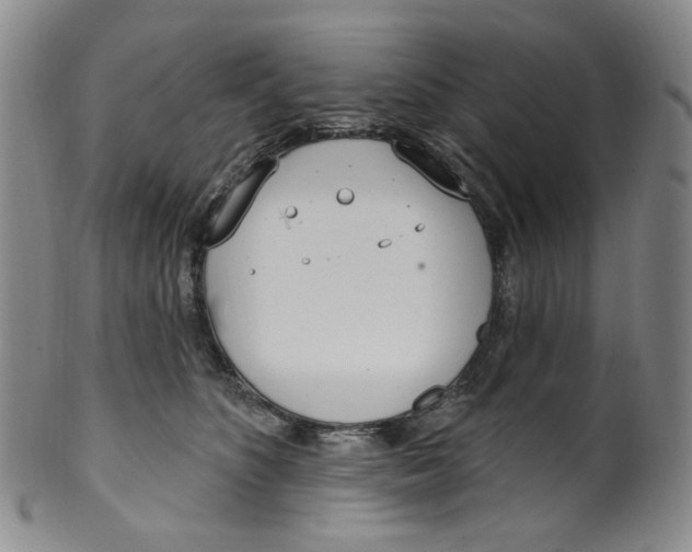 X0000100410516200806271446