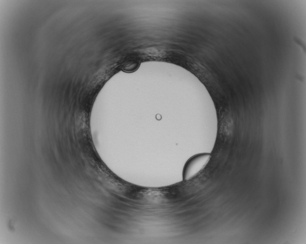 X0000100410518200806271446