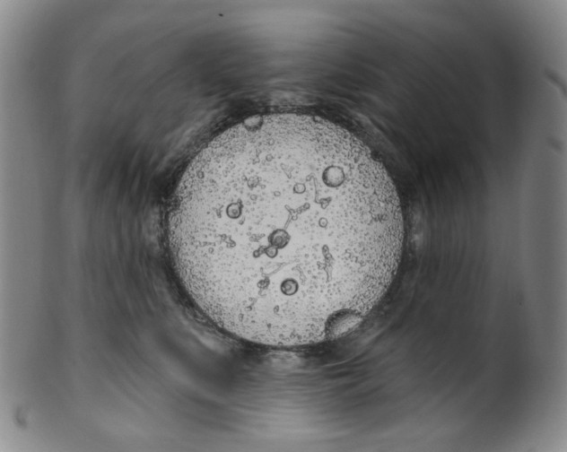 X0000100410519200806271446