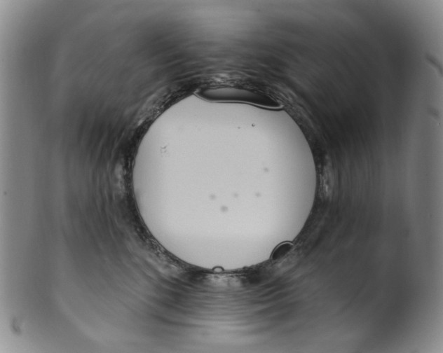 X0000100410520200806271446