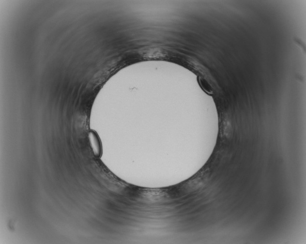 X0000100410521200806271446