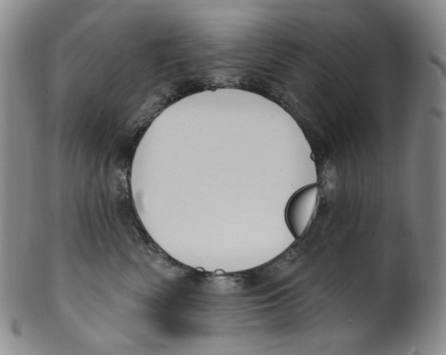 X0000100410522200806271446