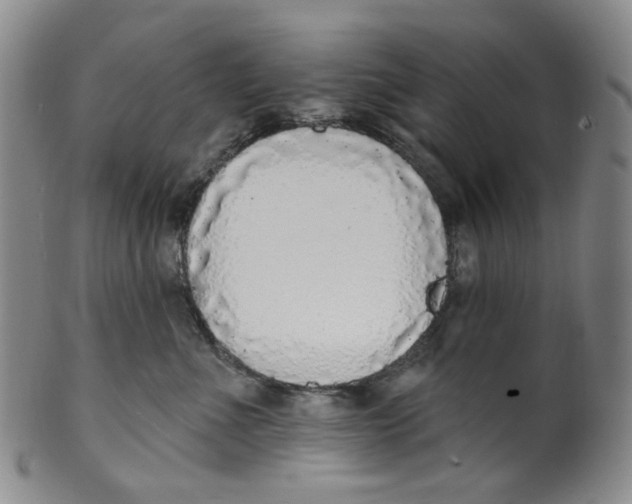 X0000100410523200806271446