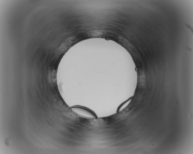 X0000100410525200806271446