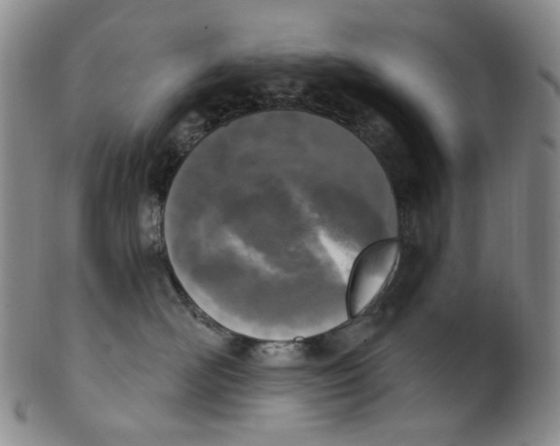 X0000100410526200806271446