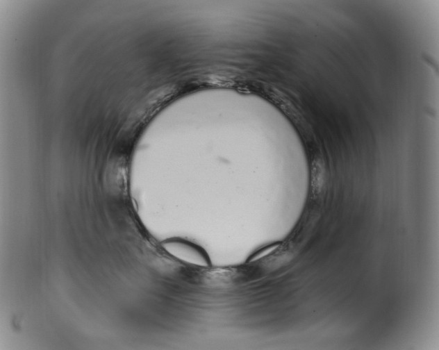 X0000100410527200806271446