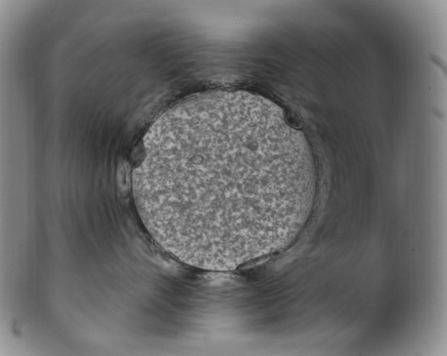 X0000100410528200806271446