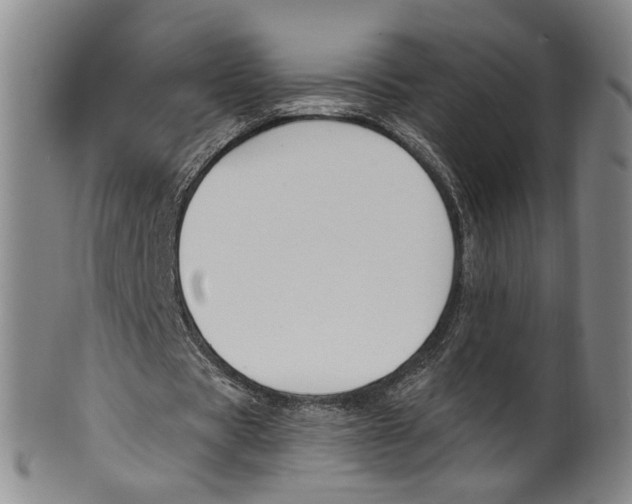 X0000100410529200806271446