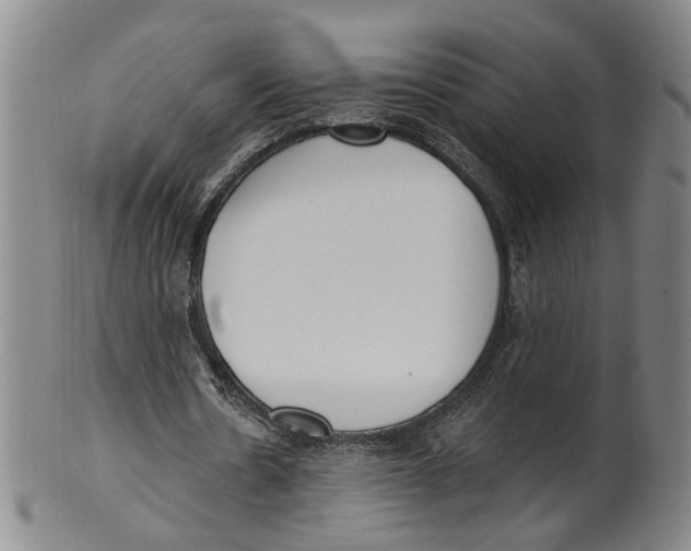 X0000100410530200806271446