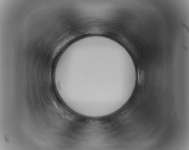 X0000100410531200806271446