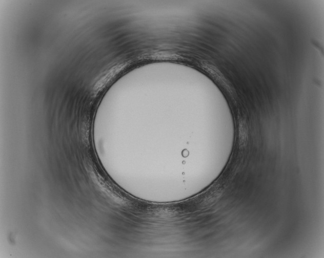 X0000100410533200806271446