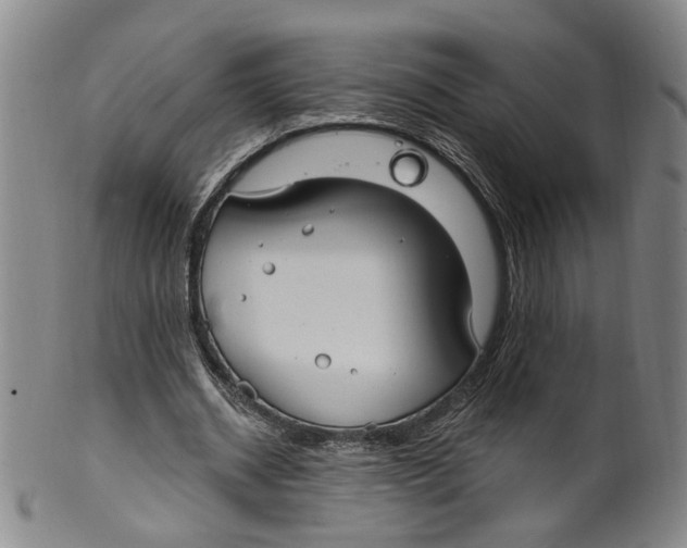 X0000100410534200806271446