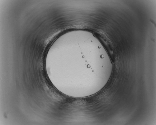 X0000100410536200806271446