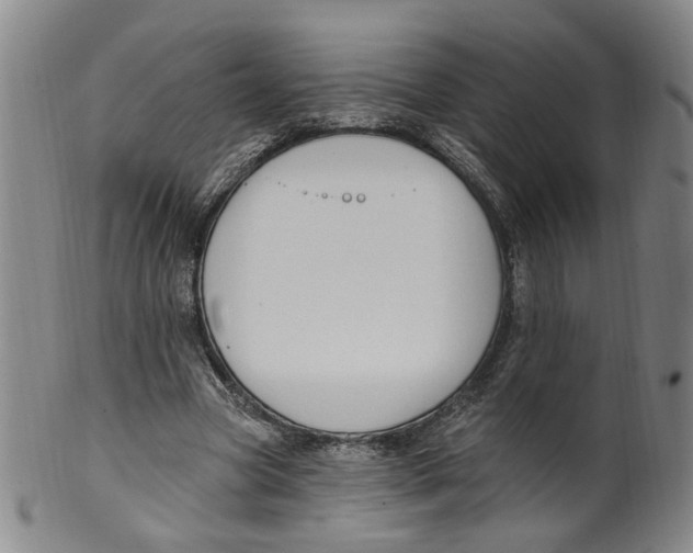 X0000100410537200806271446