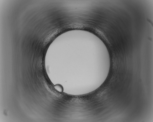 X0000100410538200806271446