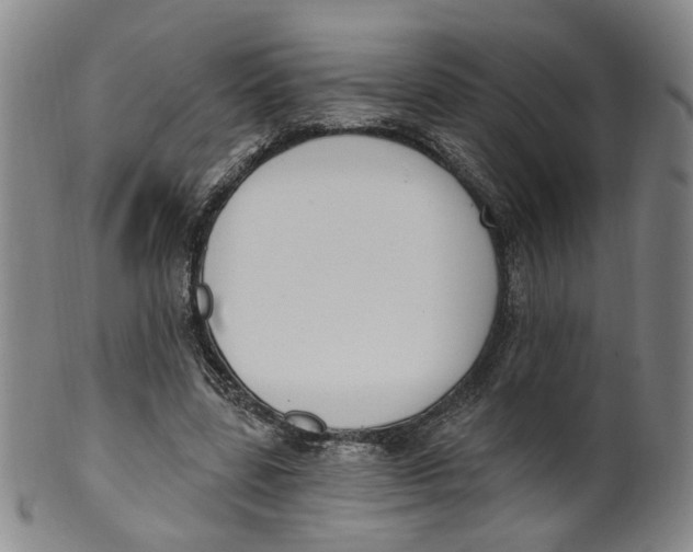 X0000100410539200806271446