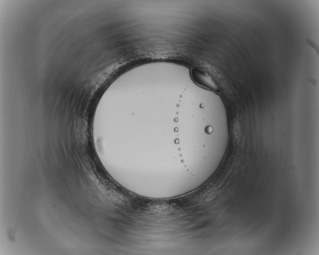 X0000100410540200806271446