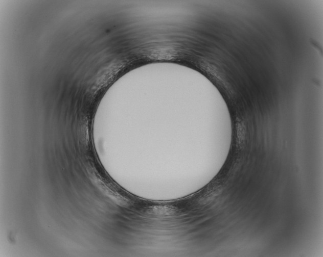 X0000100410541200806271446