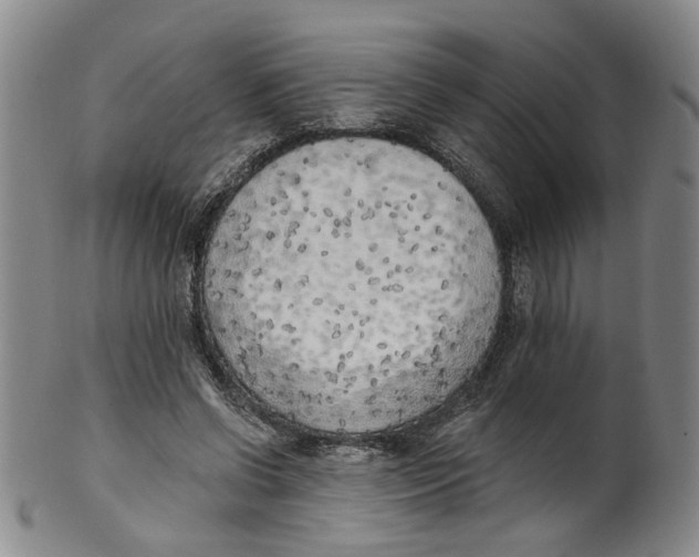 X0000100410542200806271446