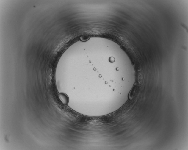 X0000100410544200806271446