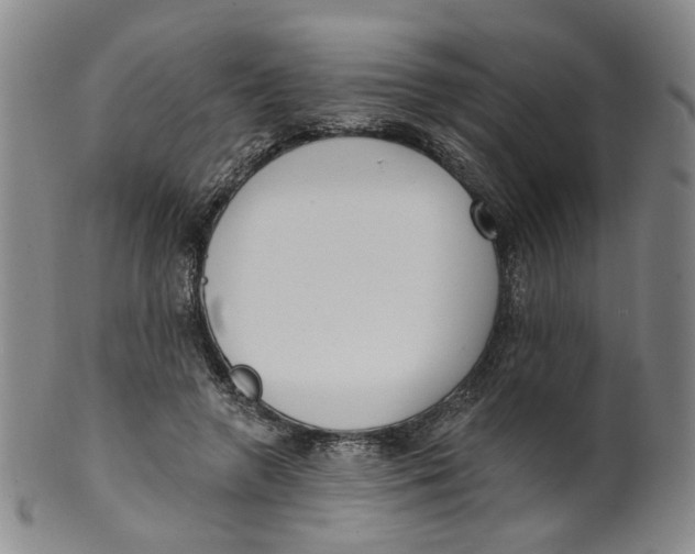 X0000100410546200806271446