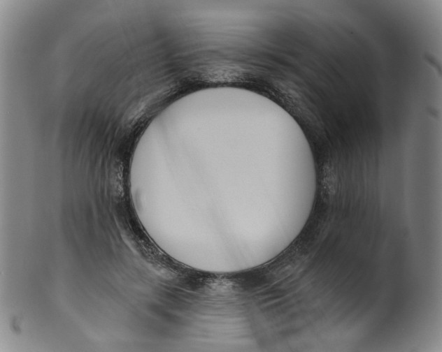 X0000100410547200806271446