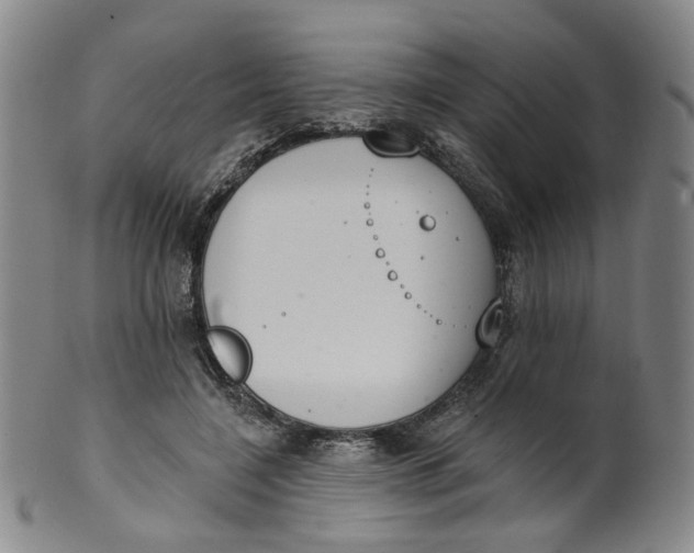 X0000100410548200806271446