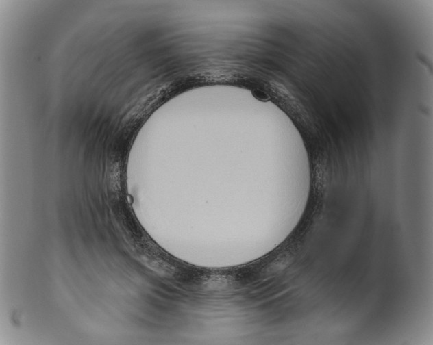 X0000100410549200806271446