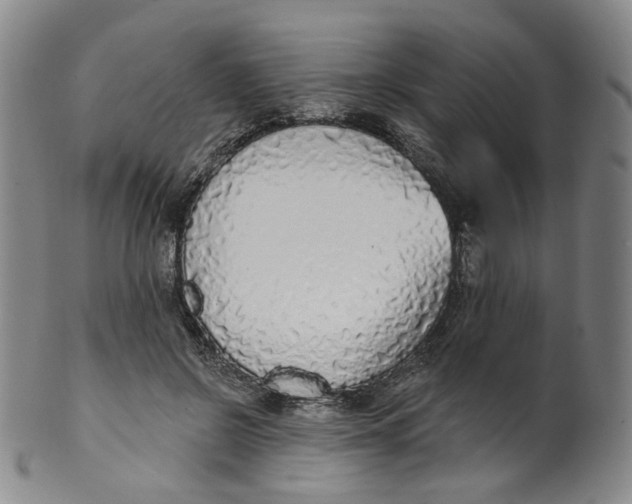 X0000100410550200806271446