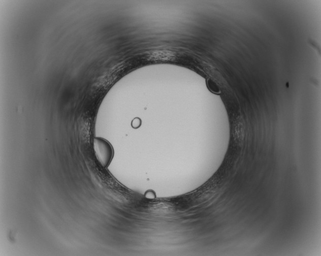 X0000100410551200806271446