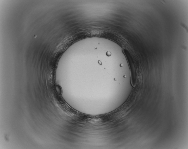 X0000100410552200806271446