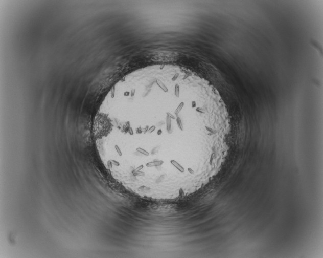 X0000100410553200806271446