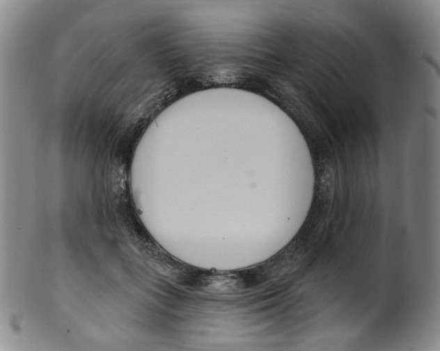 X0000100410555200806271446