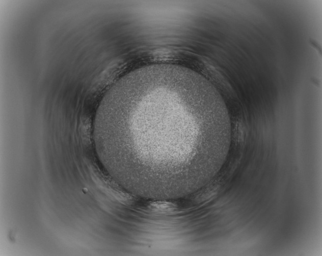 X0000100410557200806271446