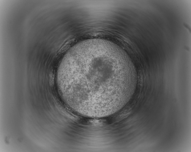 X0000100410558200806271446