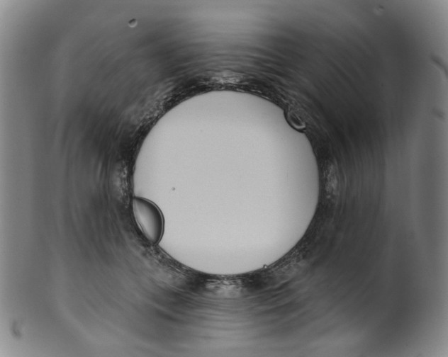 X0000100410559200806271446