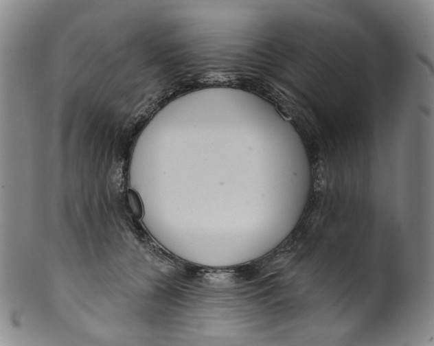 X0000100410560200806271446