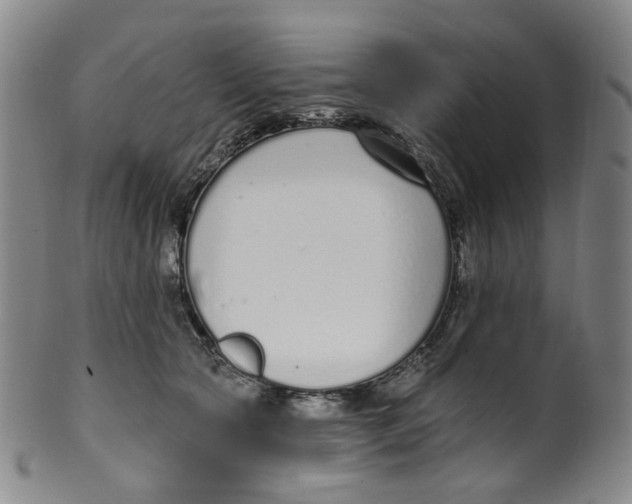 X0000100410561200806271446