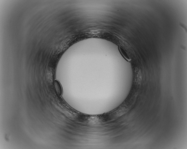 X0000100410562200806271446