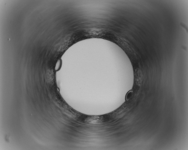 X0000100410563200806271446