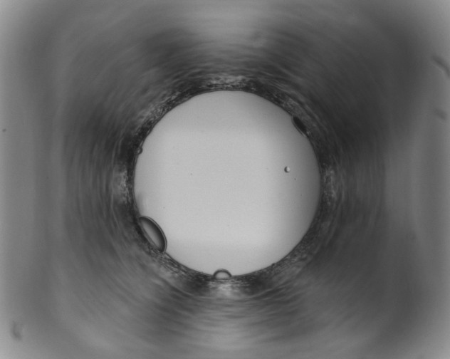 X0000100410564200806271446