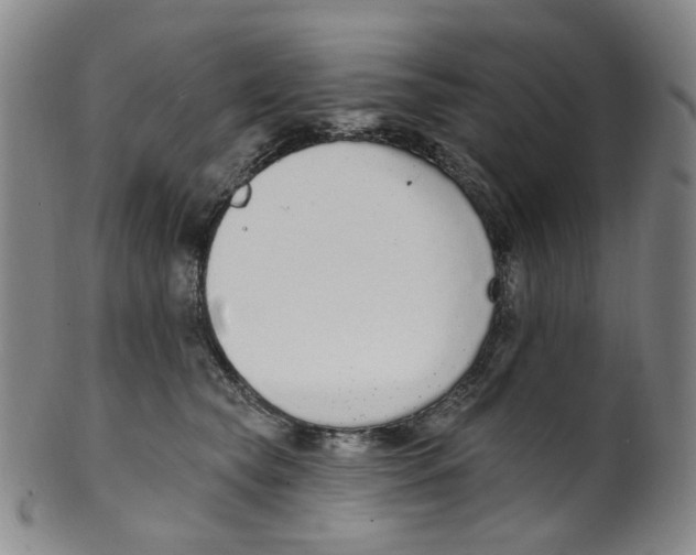 X0000100410565200806271446