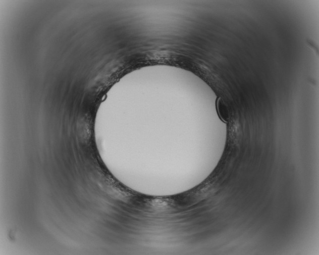 X0000100410566200806271446