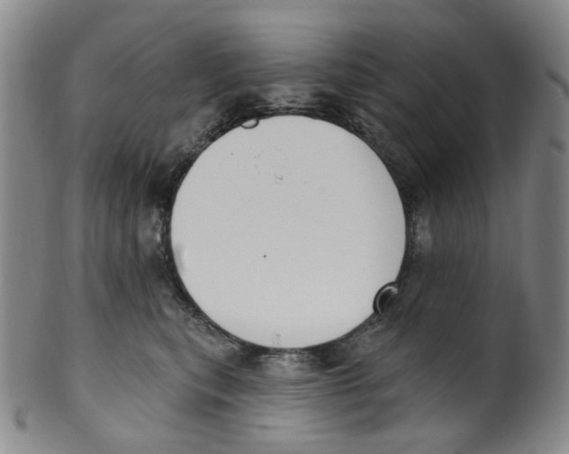 X0000100410567200806271446