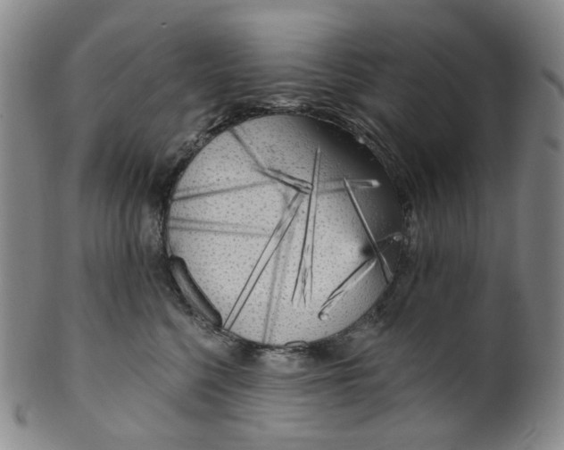 X0000100410568200806271446