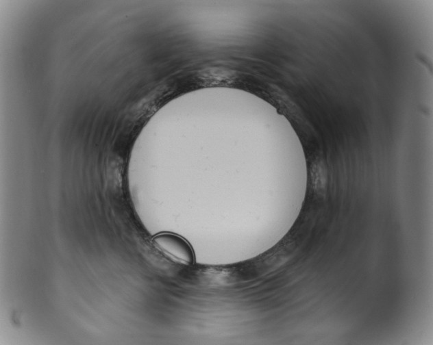 X0000100410570200806271446